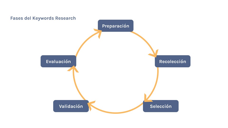 Fases del keywords research, se muesta las diferentes fases del proceso en forma de ciclo