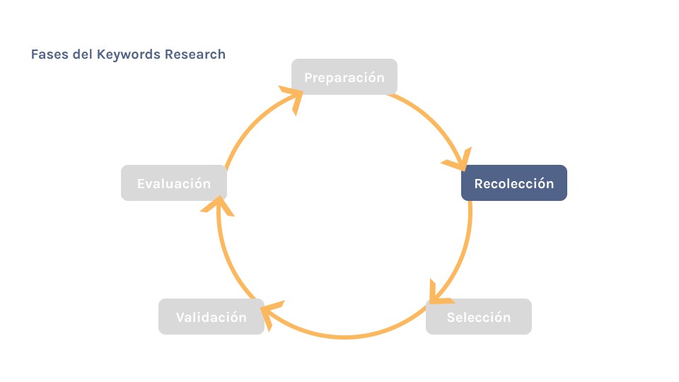 Fase de recolección resaltada en el ciclo de Keywords Research